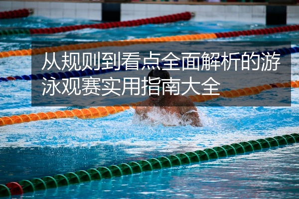 从规则到看点全面解析的游泳观赛实用指南大全