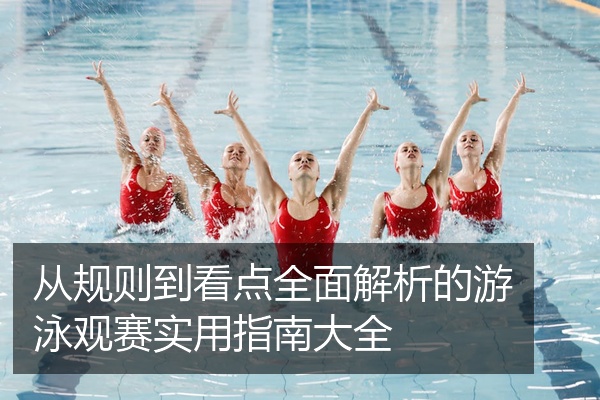 从规则到看点全面解析的游泳观赛实用指南大全