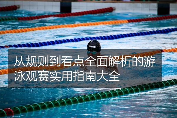 从规则到看点全面解析的游泳观赛实用指南大全